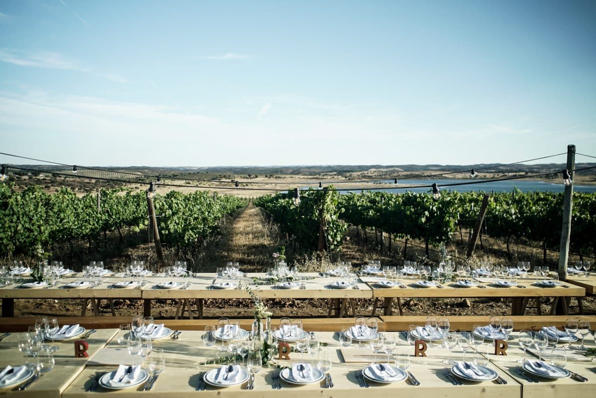 Galeria Organic Wine Visit and Tasting 1