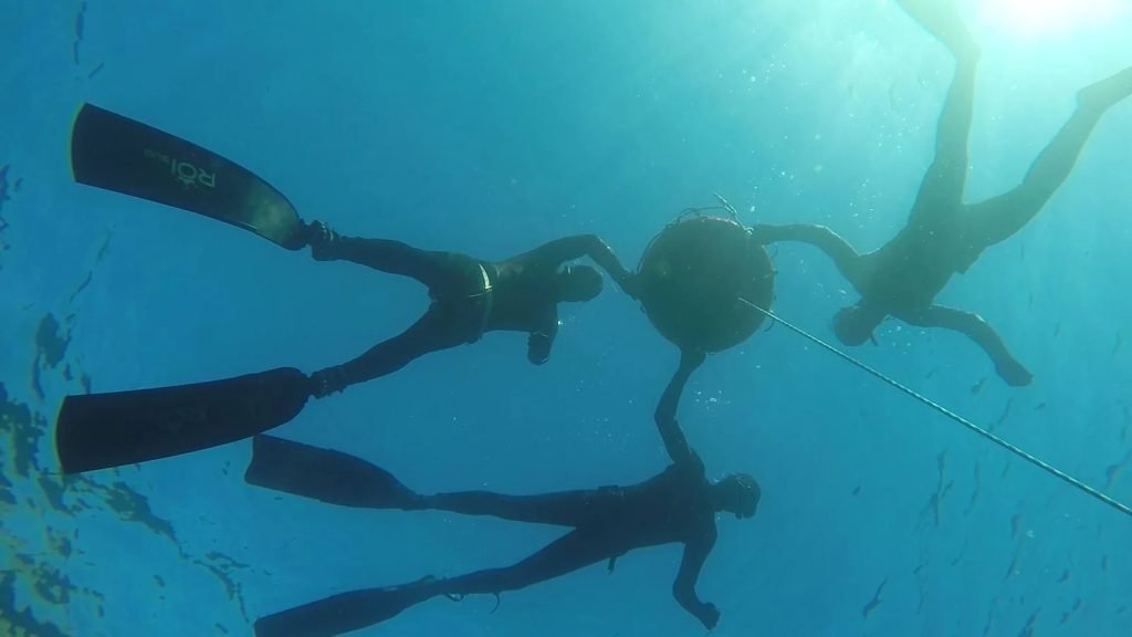 Caça submarina formação caça submarina Oeiras Miguel Ferreira curso CMAS Sul Portugal