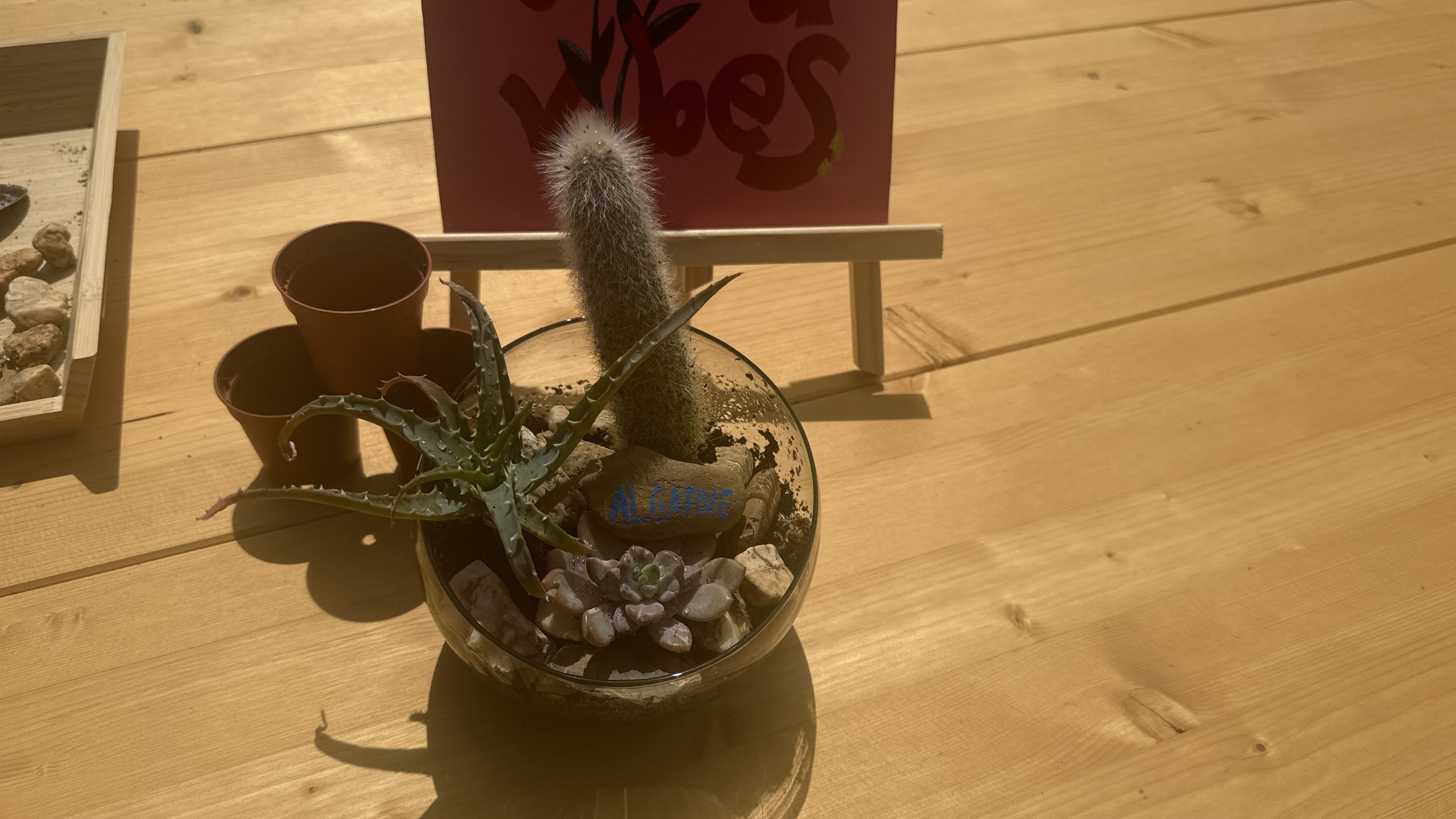 Terrarium Workshop near Albufeira gallery 6