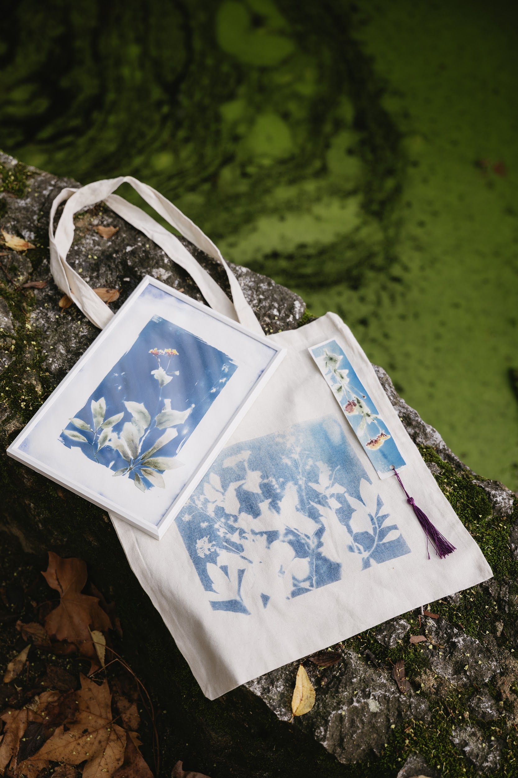 Cyanotype Art Experience in the Algarve Mountains | Catarina Olefir gallery 7