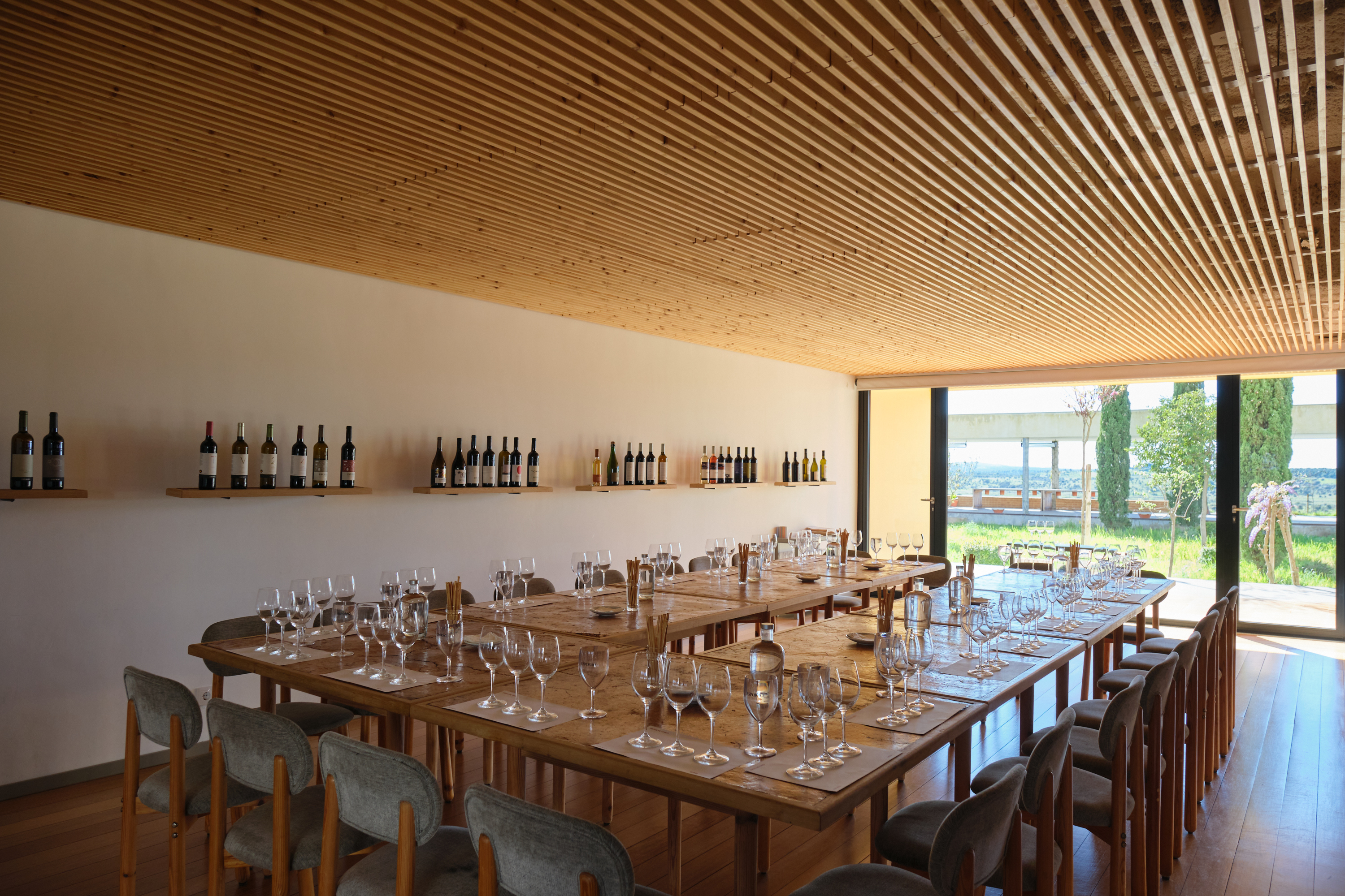 Winery Team Building | Grape to Glass in Alentejo gallery 7