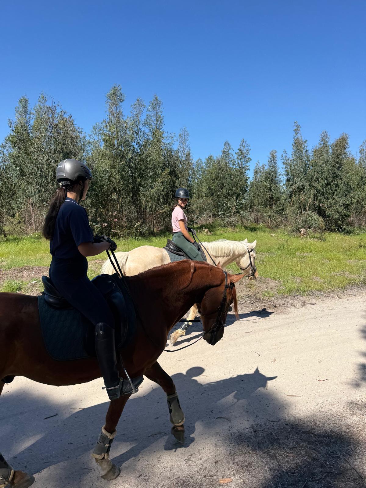 Beginner Dressage Experience in Santarém | José Carvalho Neto gallery 6
