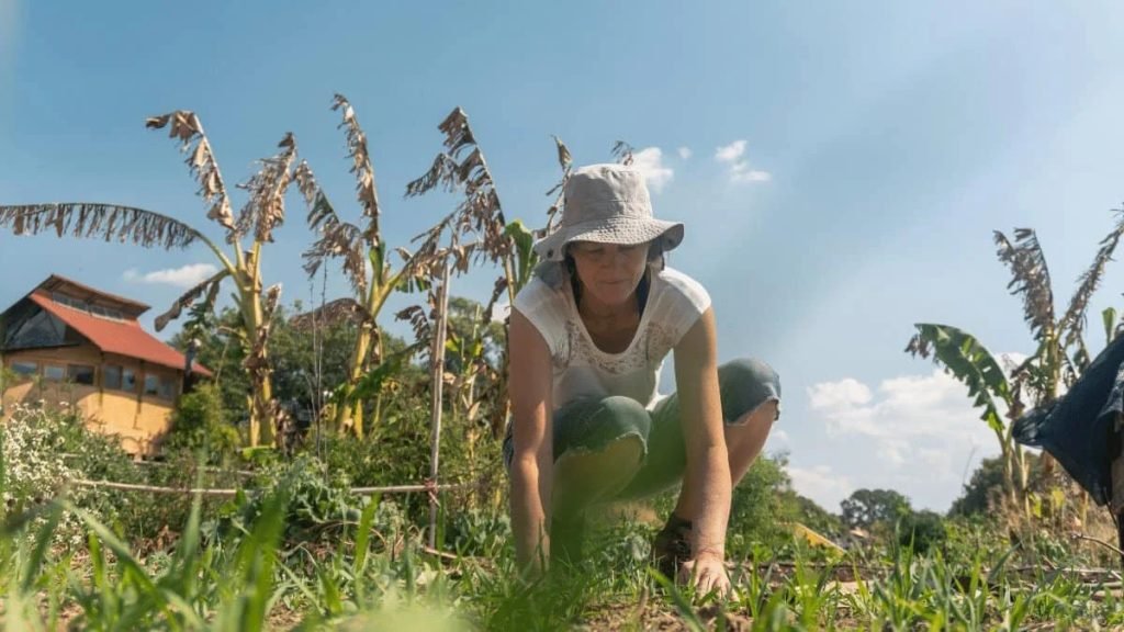 Nature-based workshops Mediterranean food forest agroforestry sustainable ecosystem design Portugal