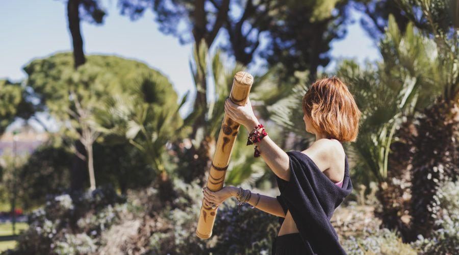 Nature-Based Workshops in Portugal: Botanicals, Mushrooms & Food Forests