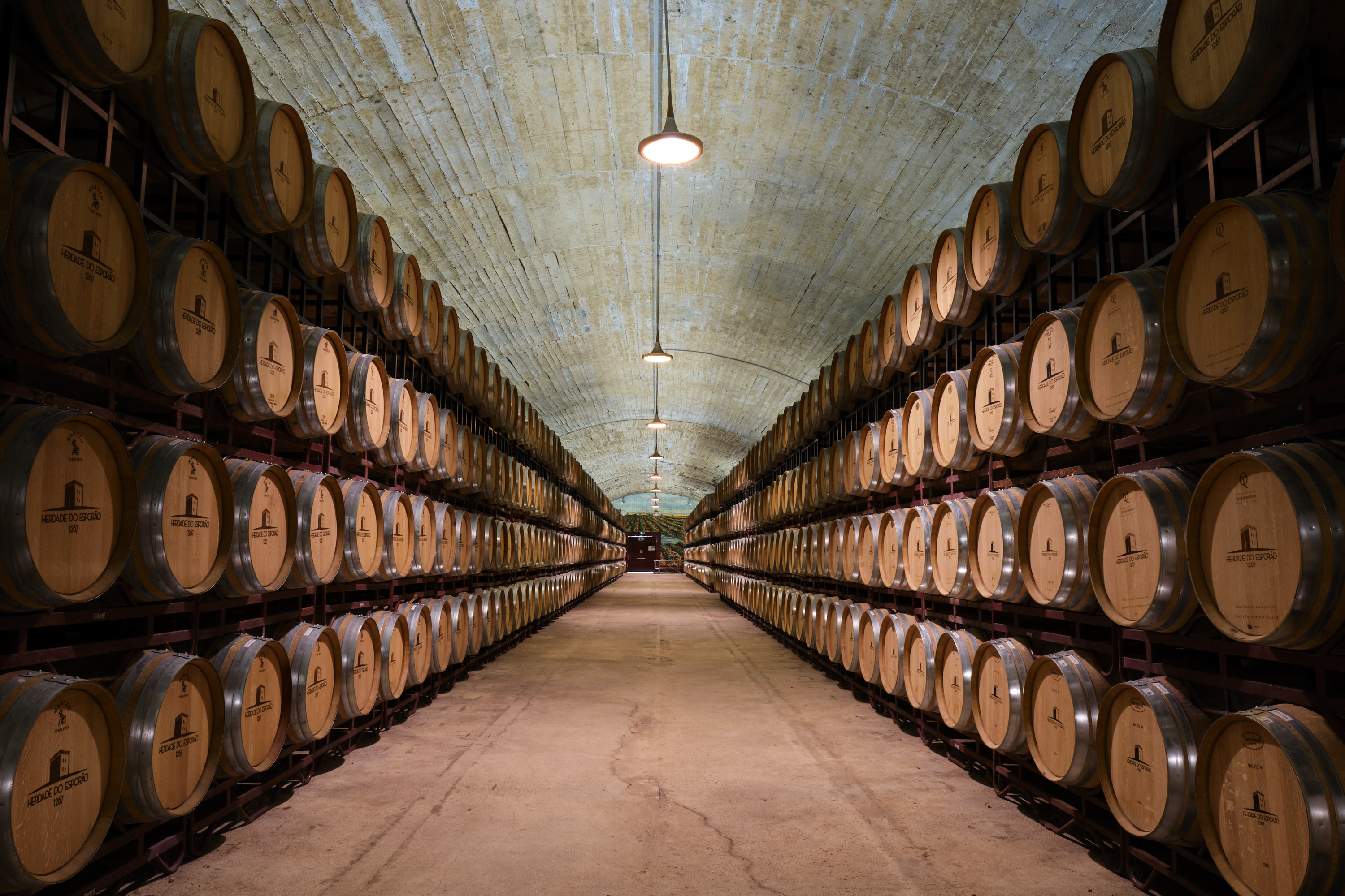 Galeria Winemaker for a Day | Team Building 7