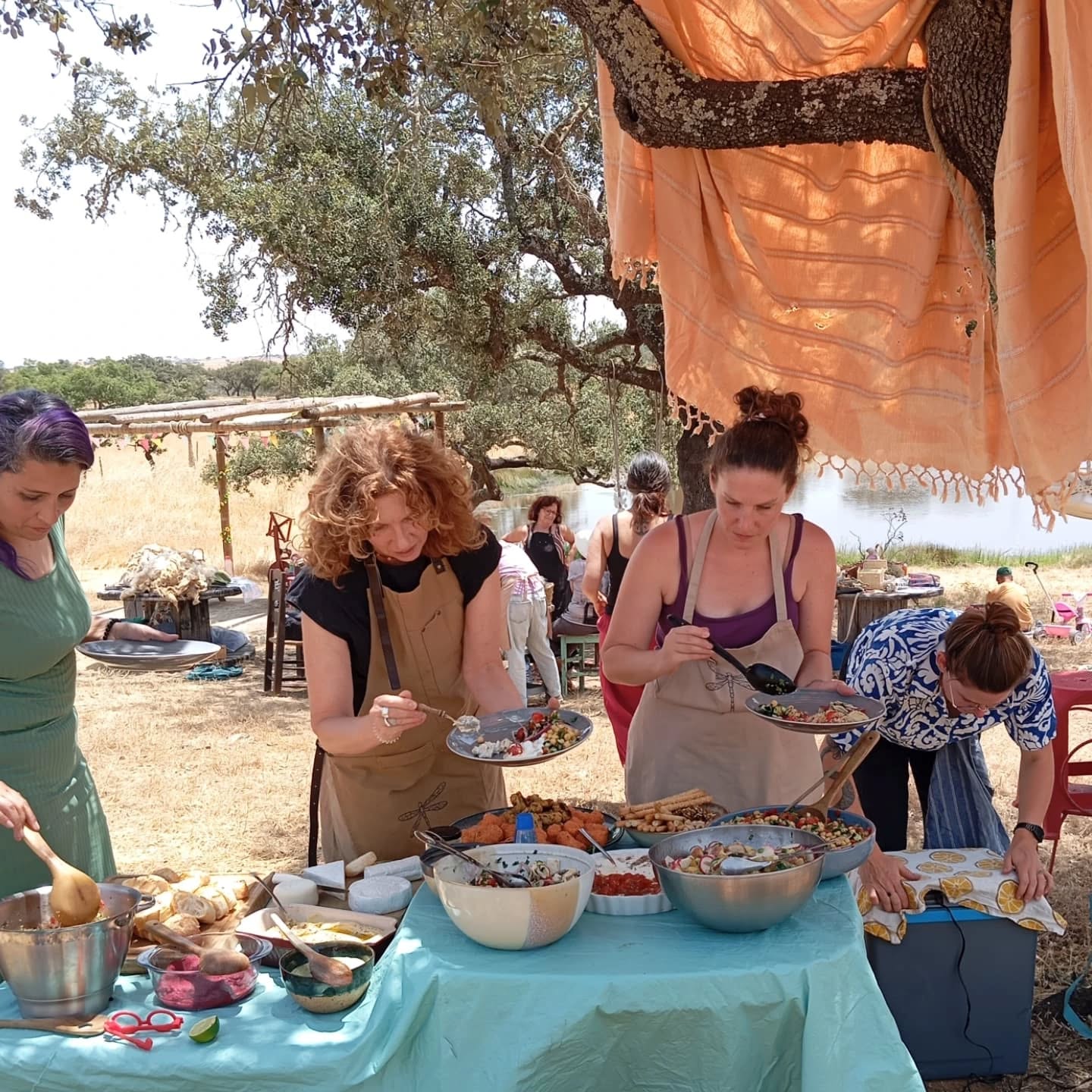 Fleece to Yarn Workshop in Ourique gallery 9