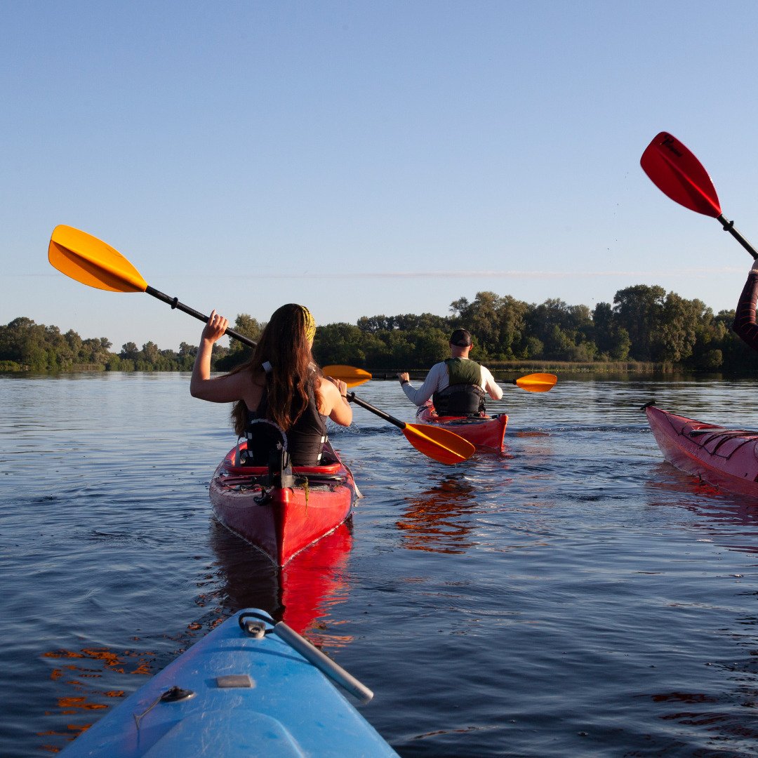 Kayak Experience in Comporta gallery 3