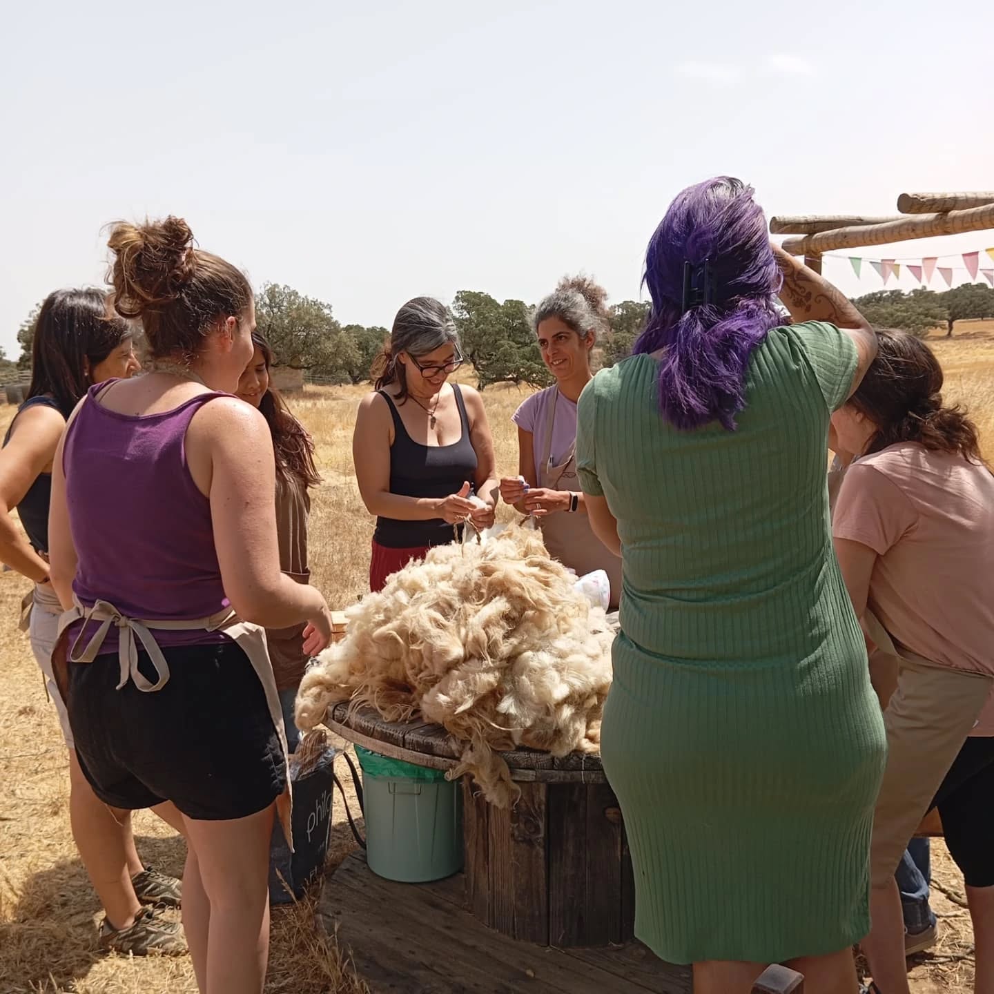 Fleece to Yarn Workshop in Ourique gallery 8