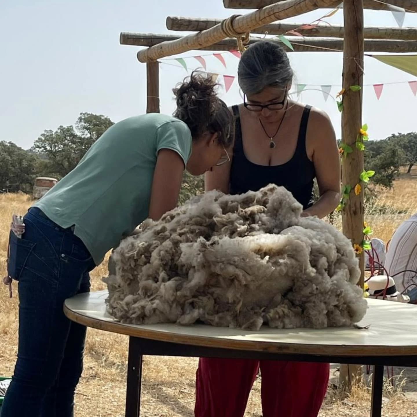 Fleece to Yarn Workshop in Ourique gallery 6