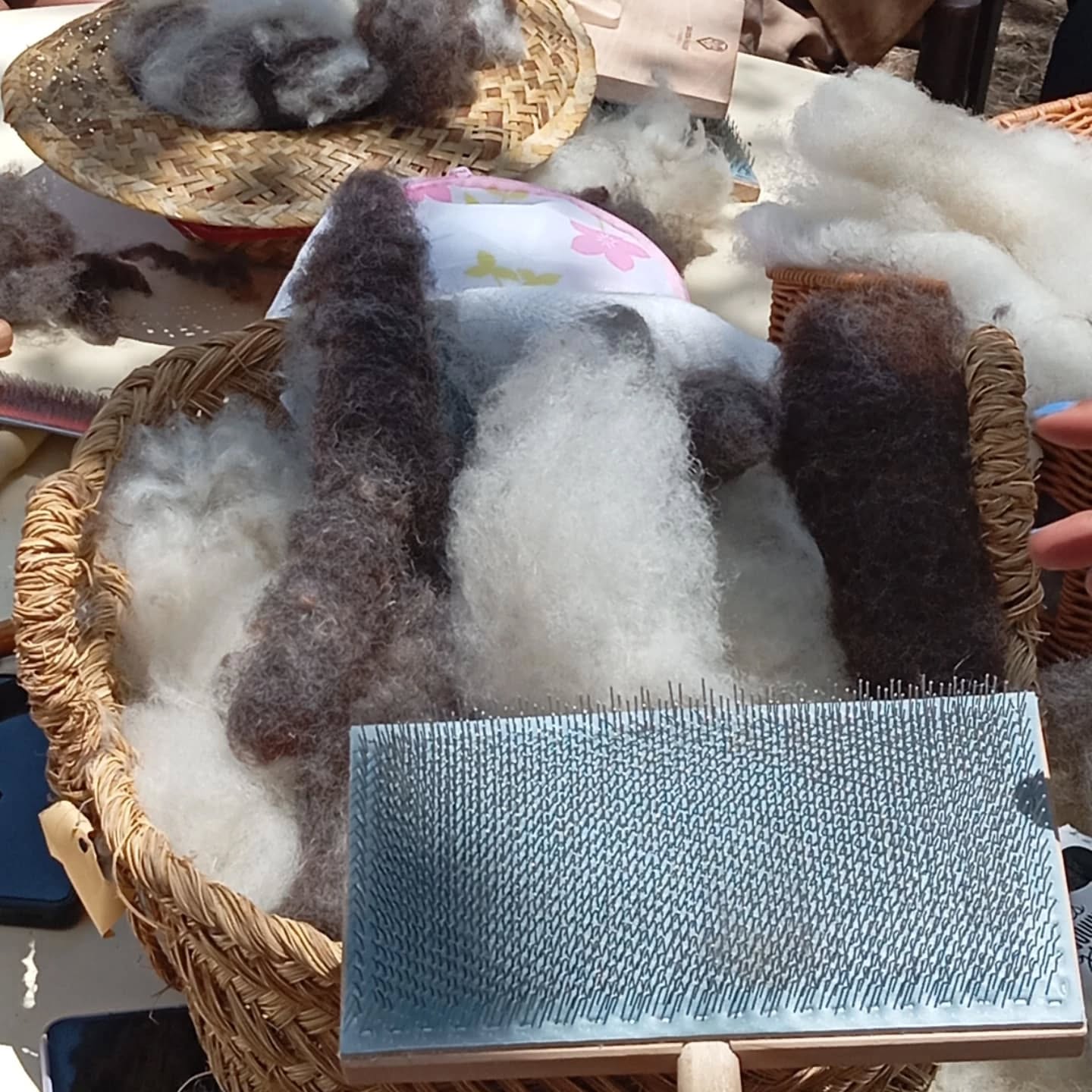 Fleece to Yarn Workshop in Ourique gallery 7