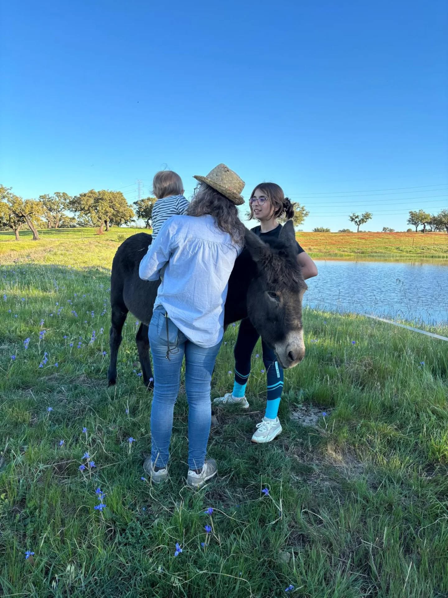 Hands-On Farm Visit in Ourique gallery 6