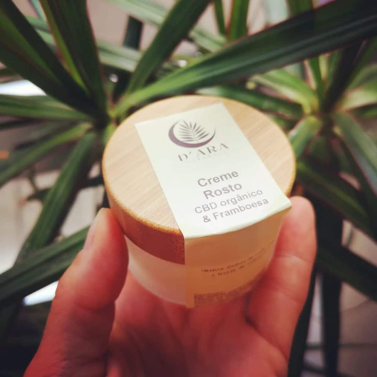 Galeria Natural Body and Lip Balms Workshop 1