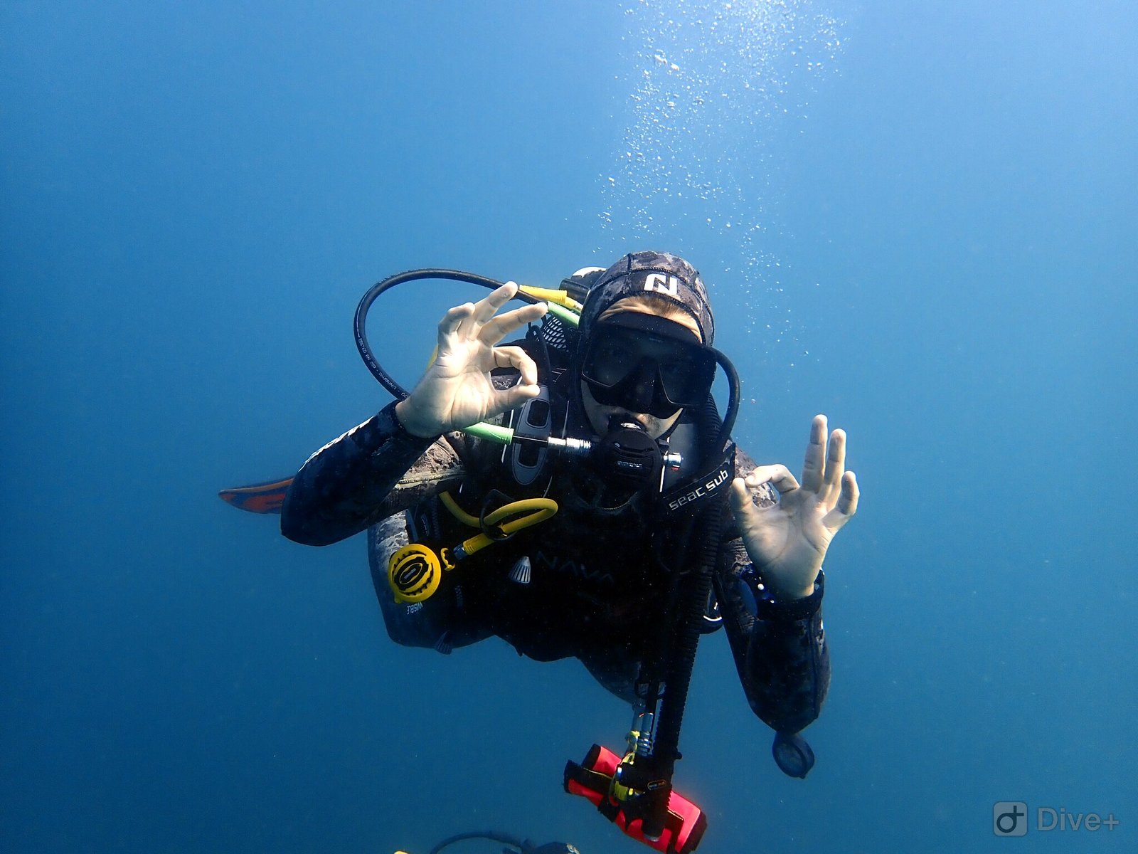 Double Dive for Certified Divers in Albufeira gallery 7