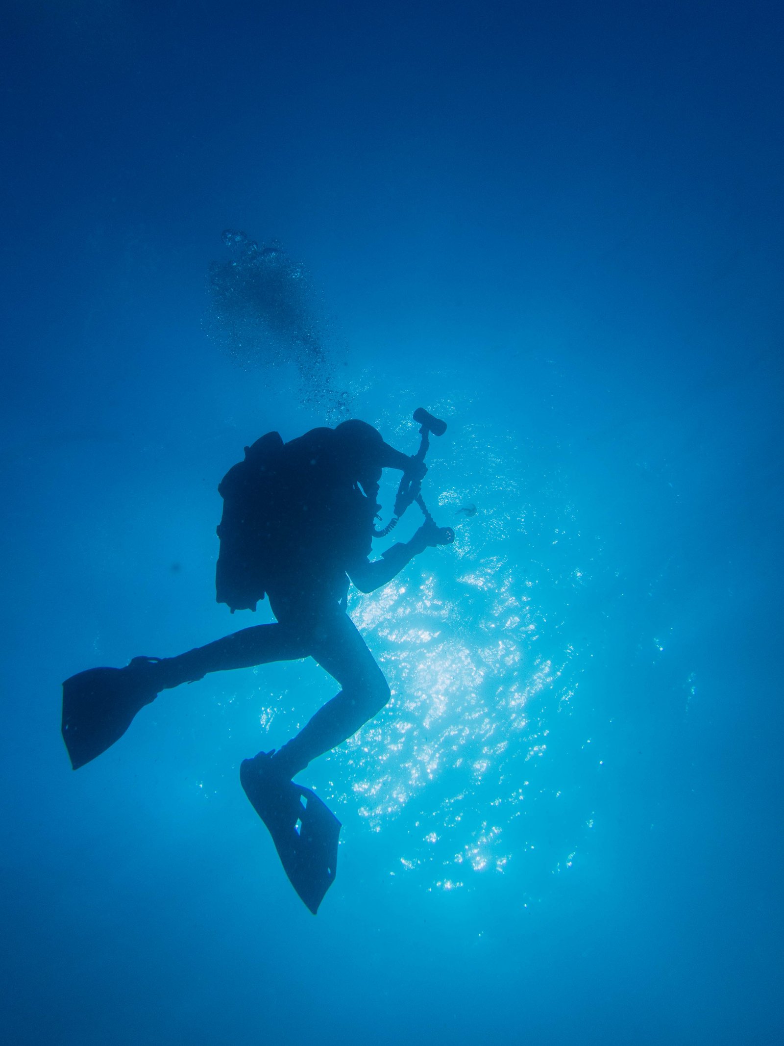 SSI Open Water Diver Course in Albufeira gallery 8
