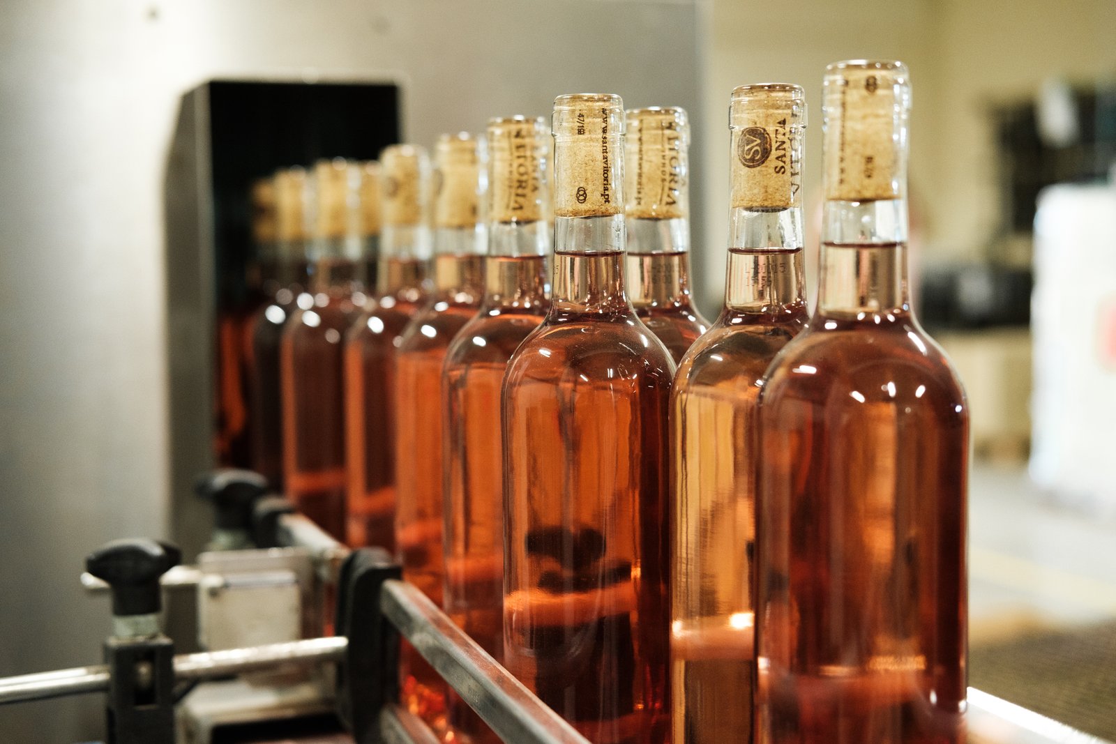 Exclusive Wine and Olive Oil Experience gallery 6