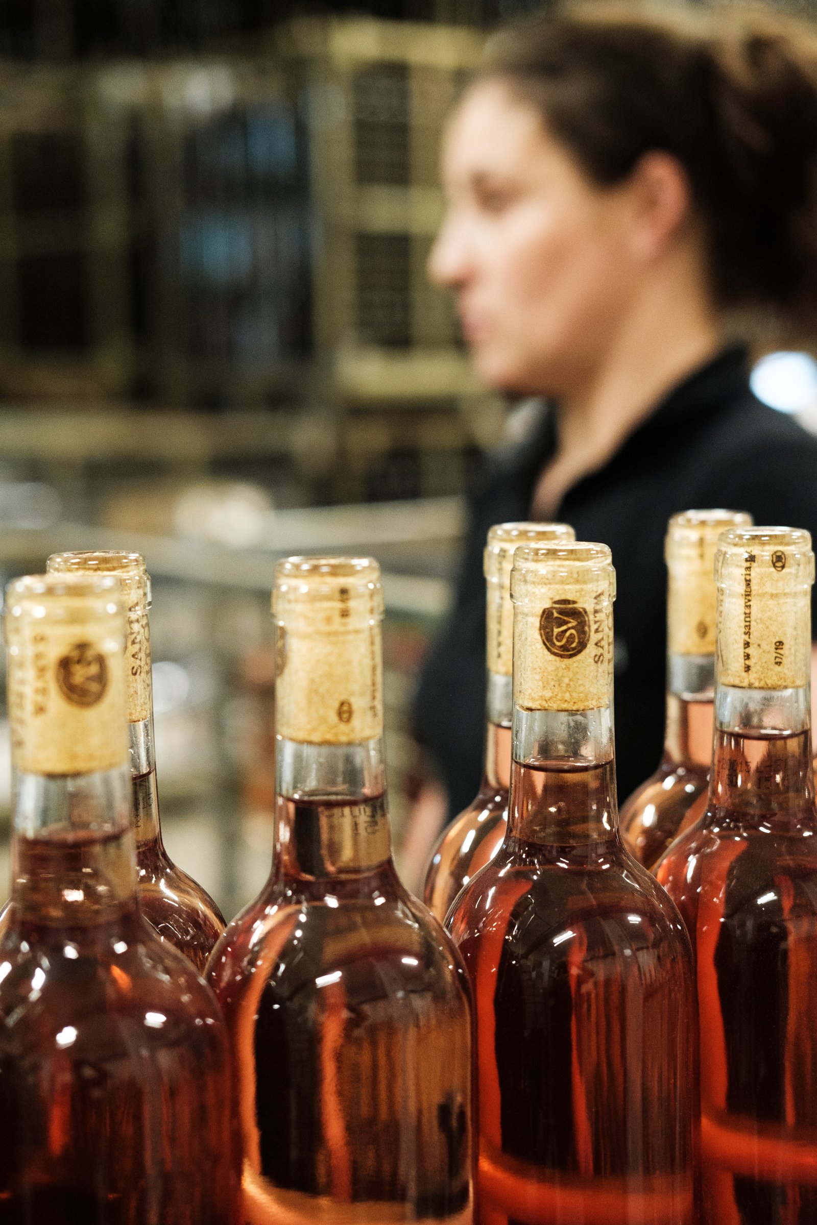 Winemaker for a Day at Casa Santa Vitória gallery 6