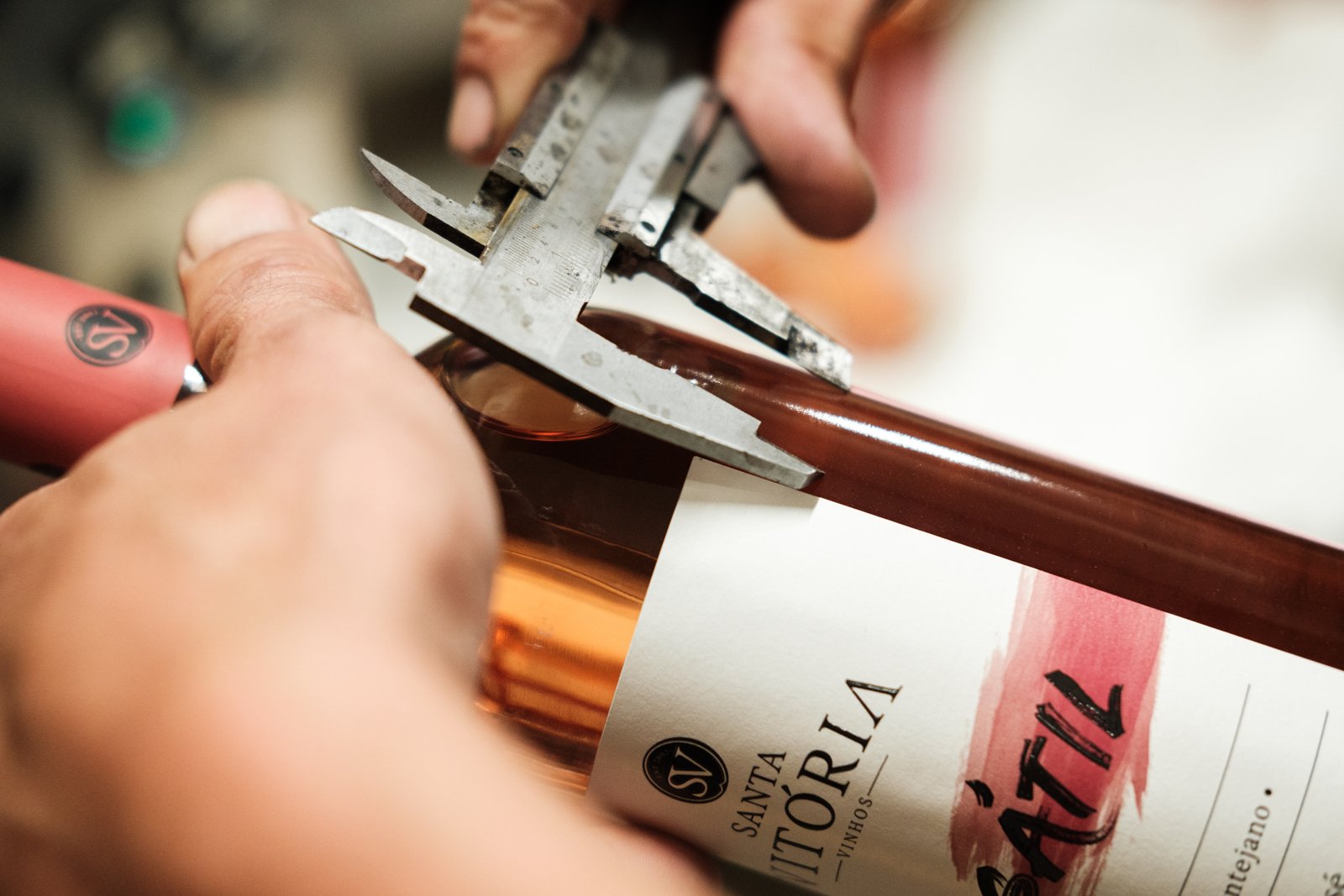 Winemaker for a Day at Casa Santa Vitória gallery 7