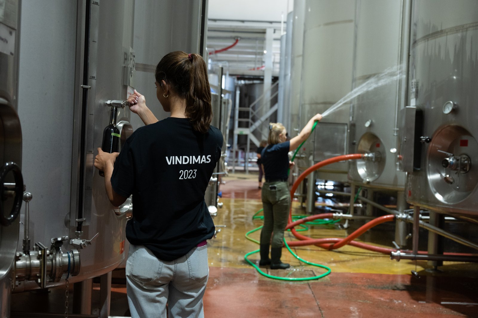 Winemaker for a Day at Casa Santa Vitória gallery 8