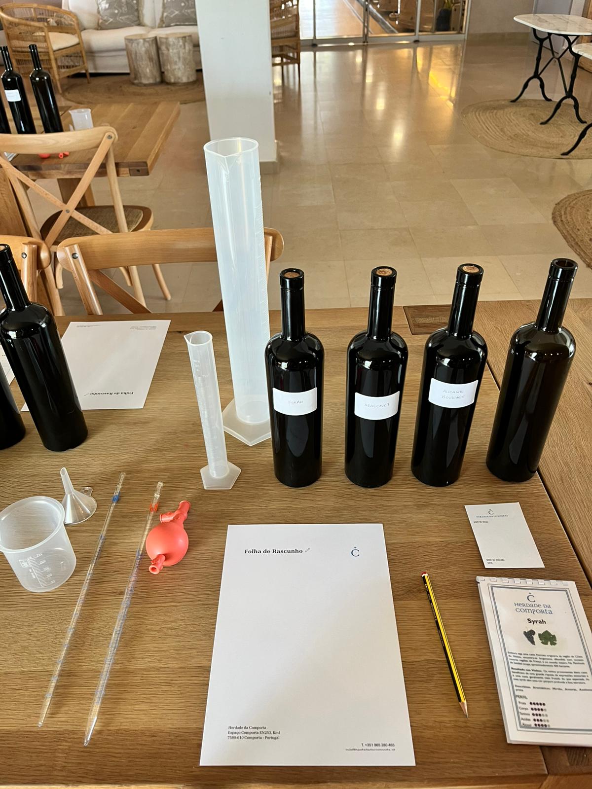 Winemaker for a Day | Team Building gallery 5