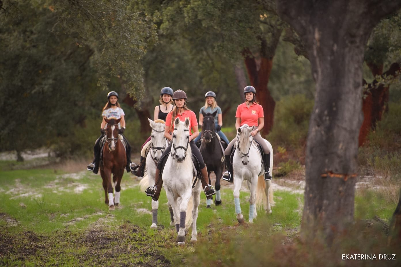 Guided Horse Ride for Kids and Families gallery 7