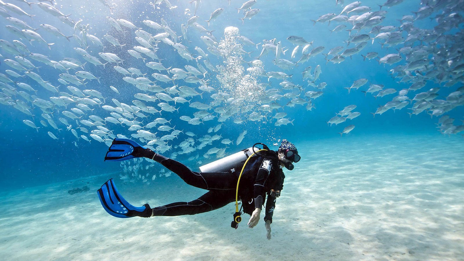 SSI Open Water Diver Course gallery 3