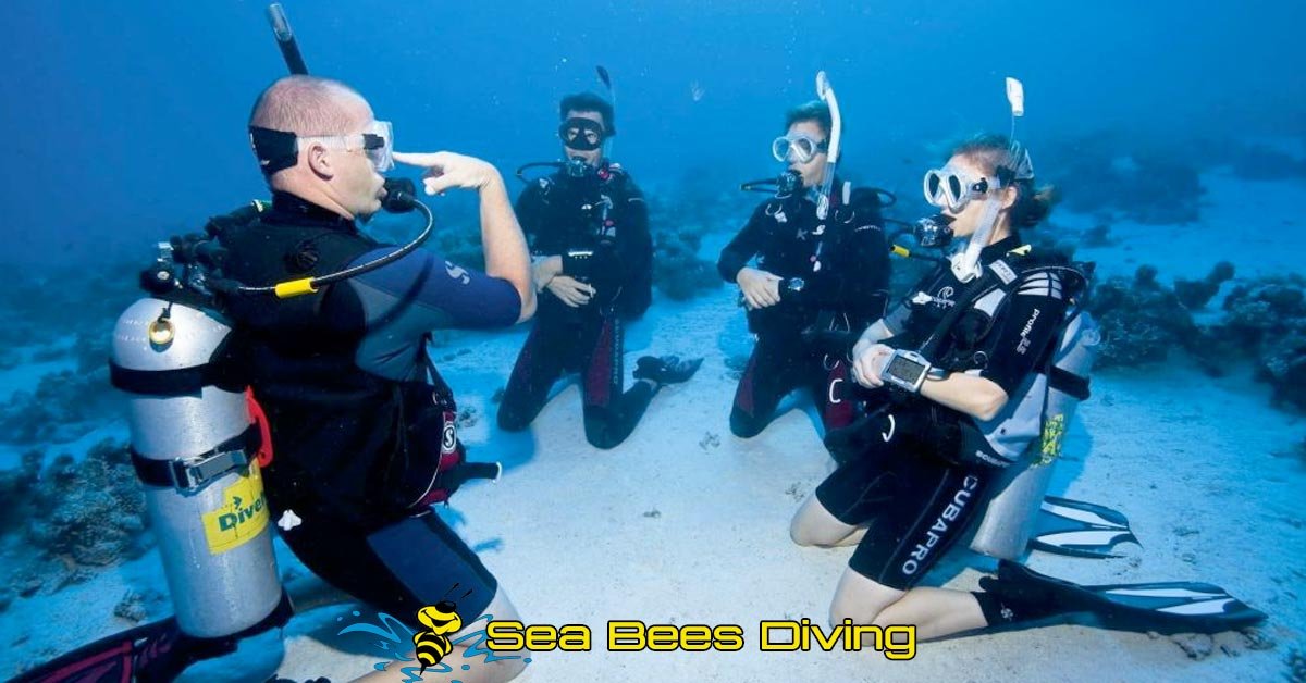 SSI Open Water Diver Course gallery 2