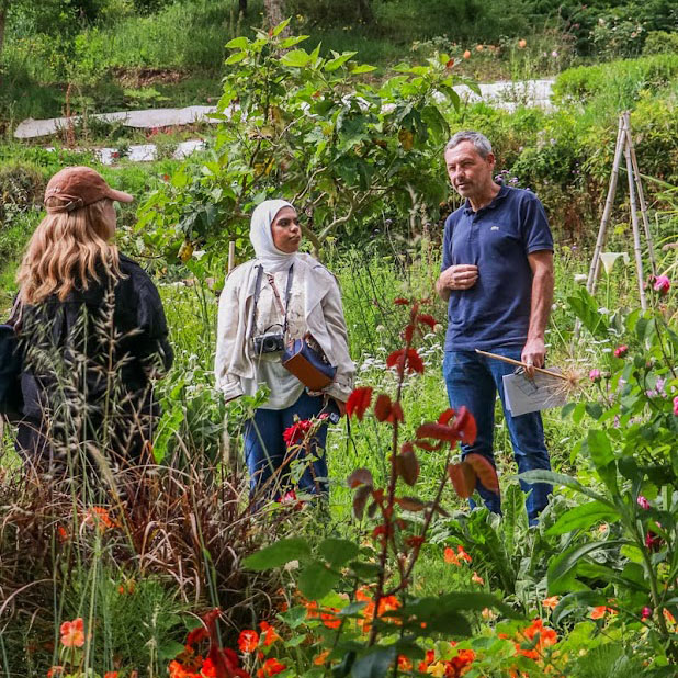 Visita guiada à Quinta Floral em Colares