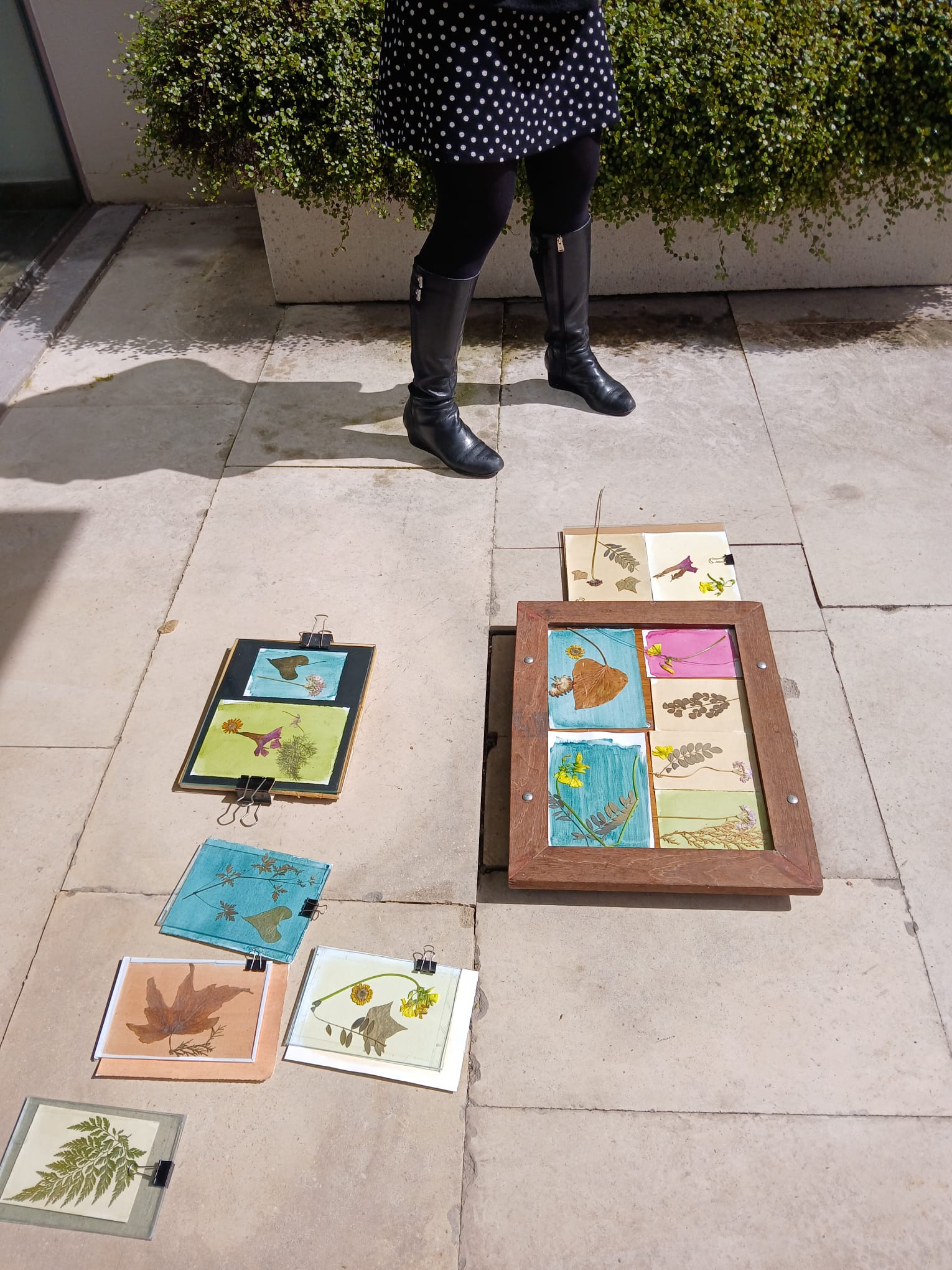 Anthotype Photography Workshop gallery 4