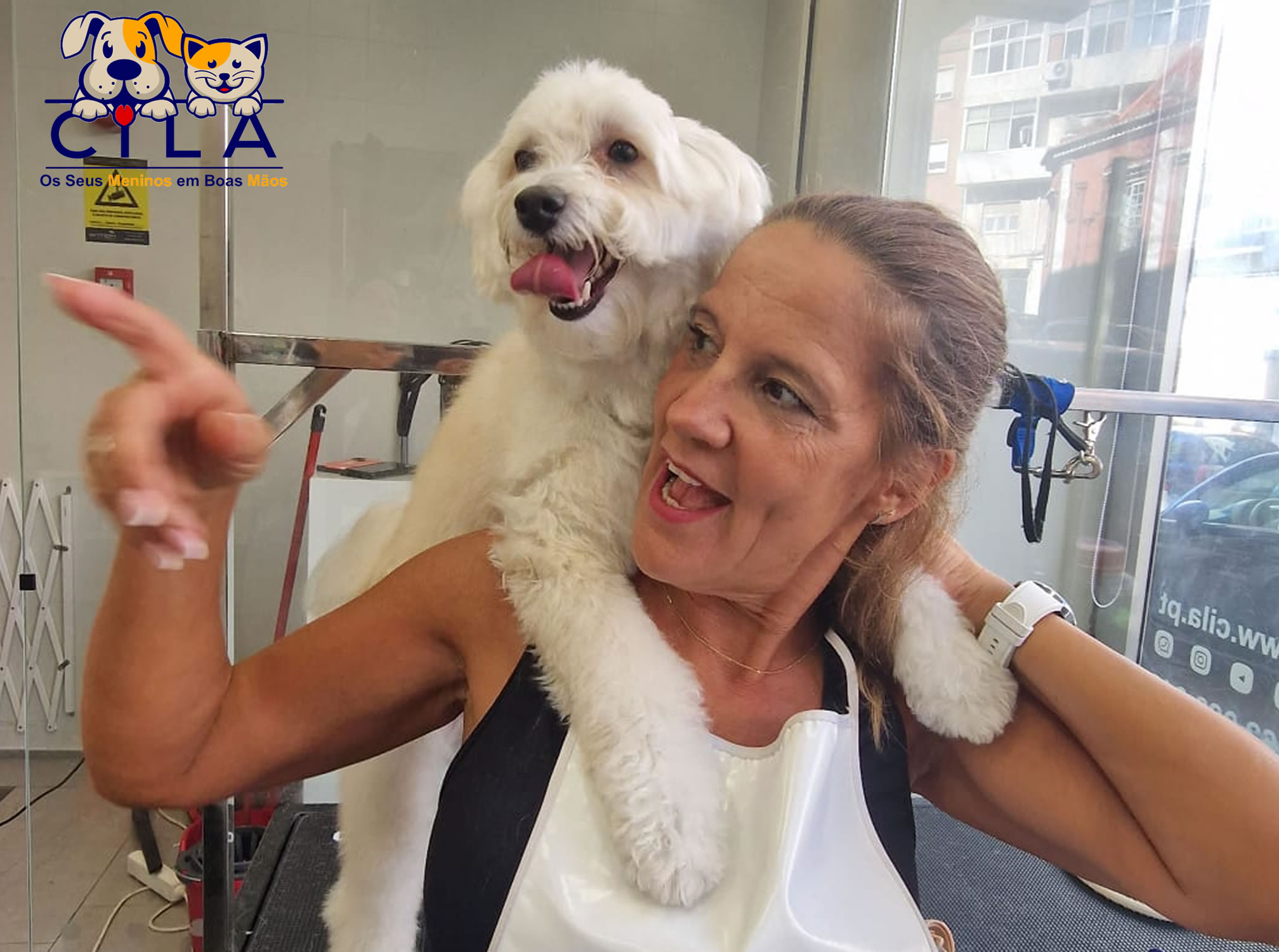 Galeria Become a Dog Groomer for One Day 9