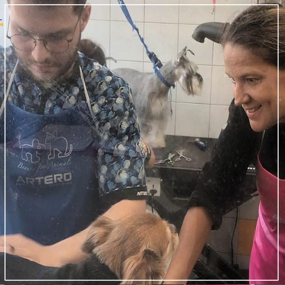 Galeria Become a Dog Groomer for One Day 5