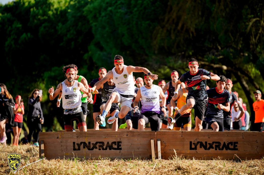 Galeria Obstacle Lynx Race Team Building Experience 5