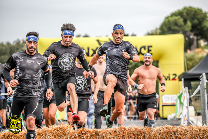 Galeria Obstacle Lynx Race Team Building Experience 2