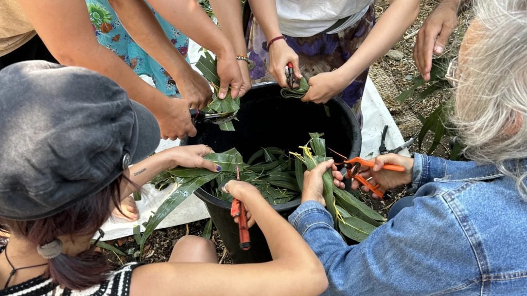 Reconnect with nature terrarium workshop living ecosystems Apolline Lola Algarve plants