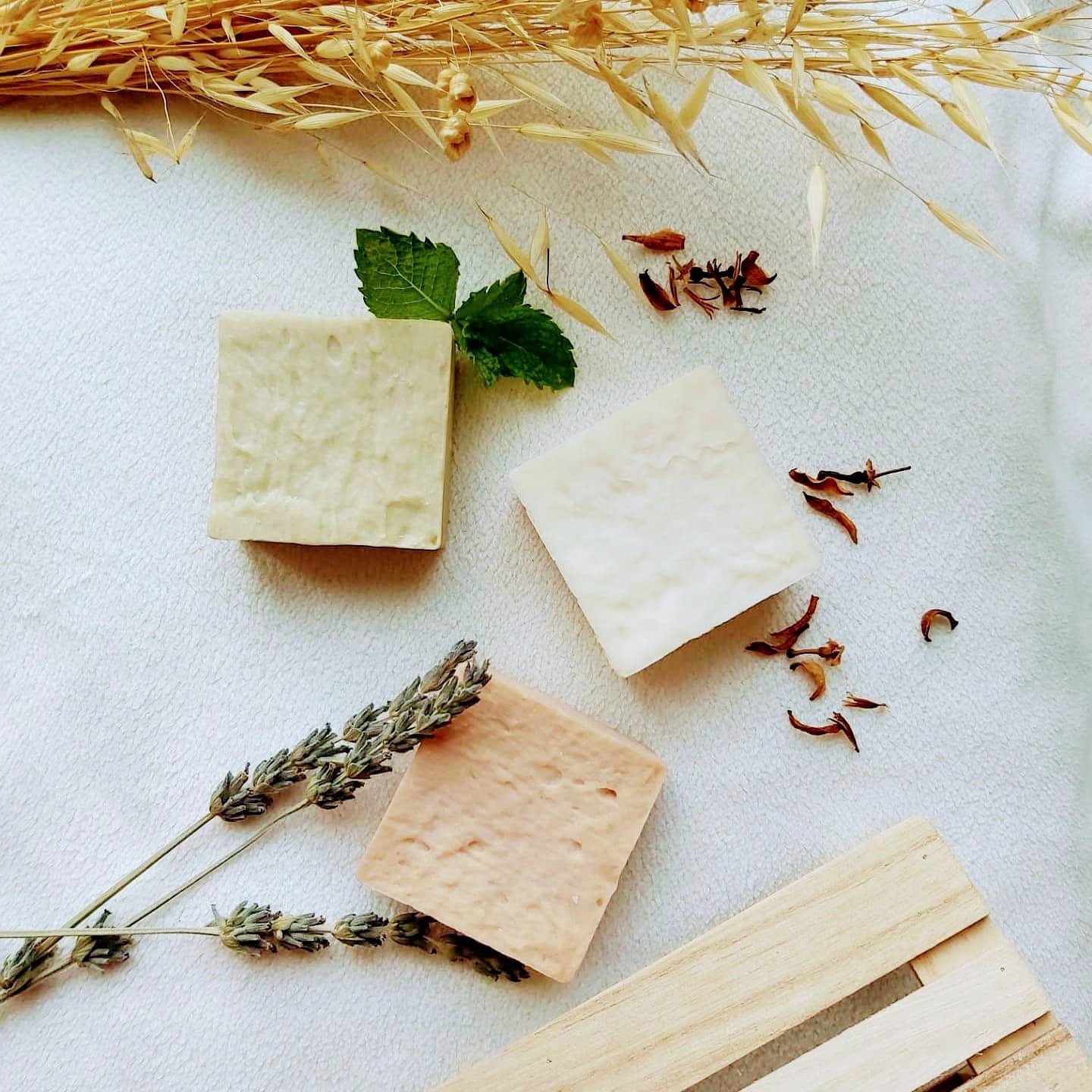 Make Your Own Solid Shampoo & Conditioner – Natural Hair Care Workshop