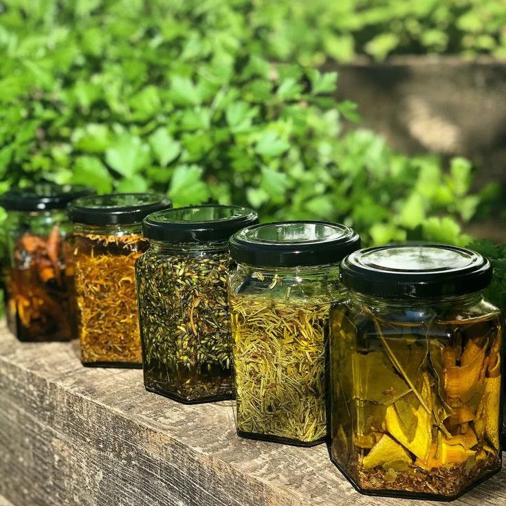Finding your passion herbalism plant medicine Juliana D'Ara herbal infusions phytoenergetics
