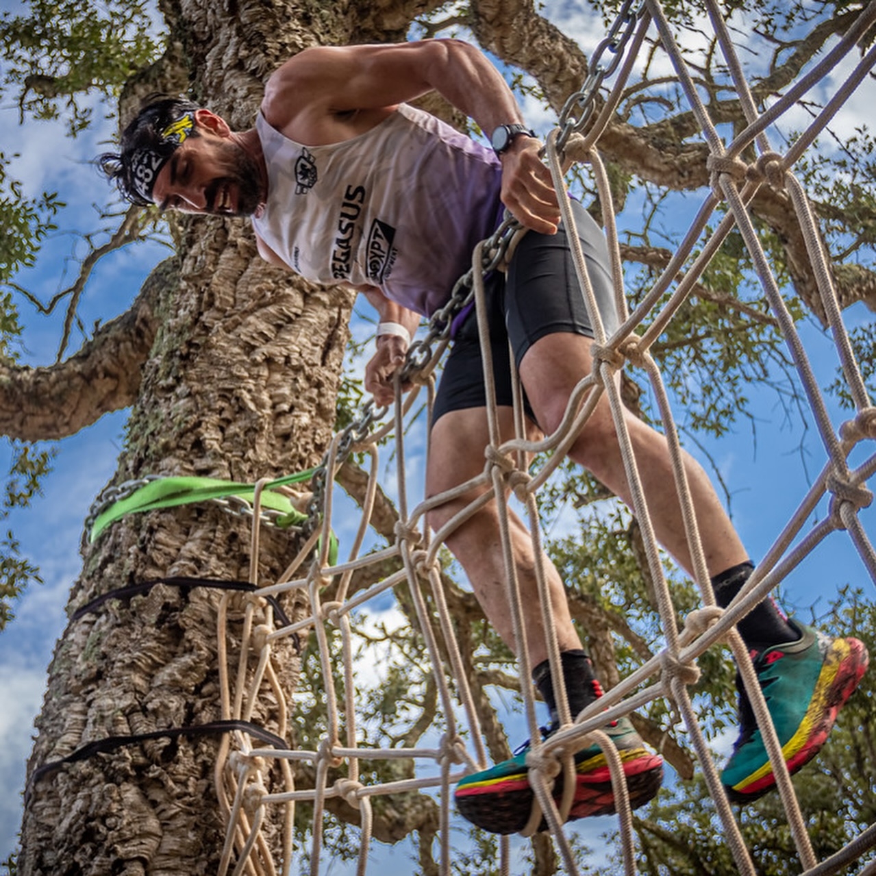 Galeria Obstacle Lynx Race Team Building Experience 4
