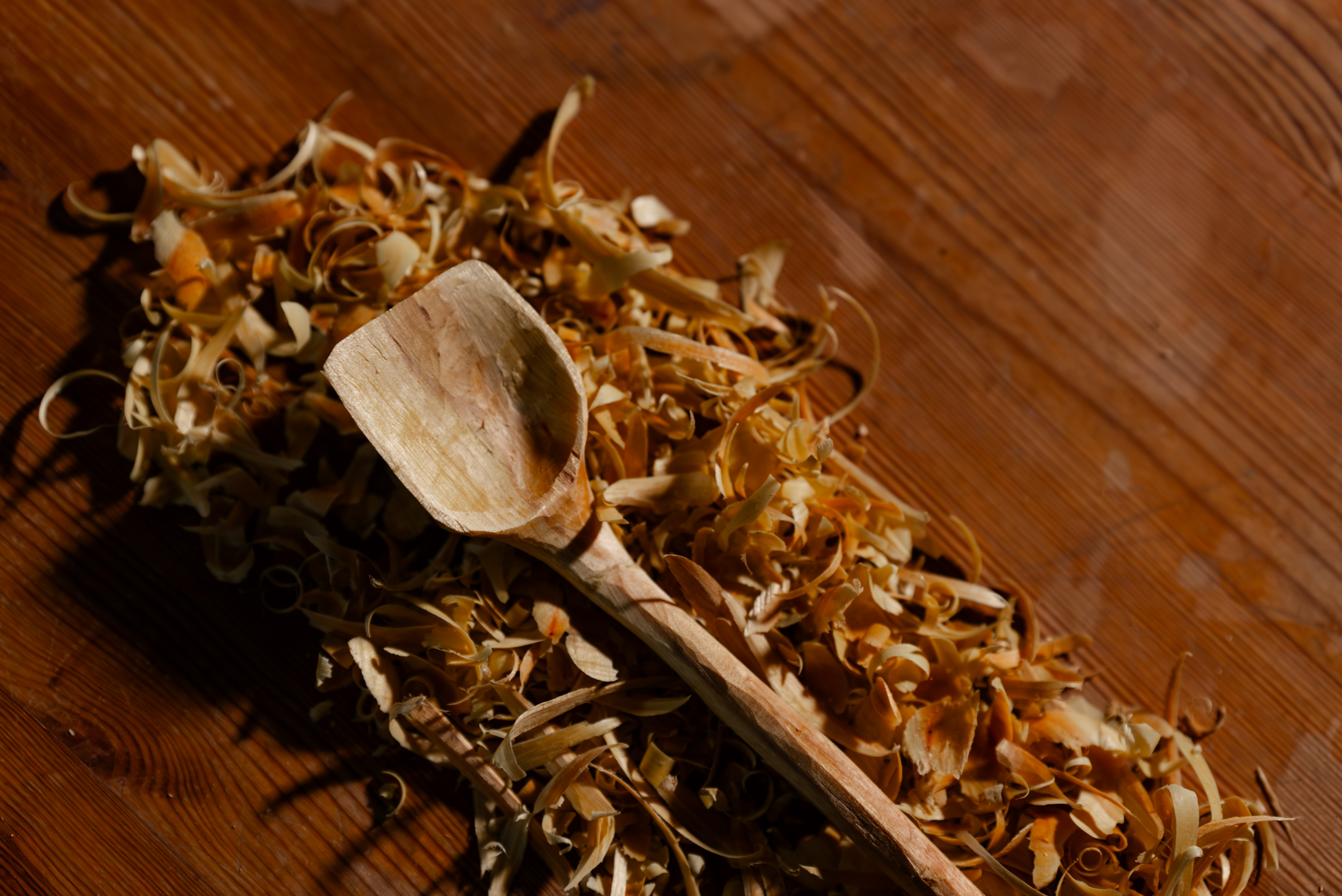 Galeria Spoon Carving Workshop 3