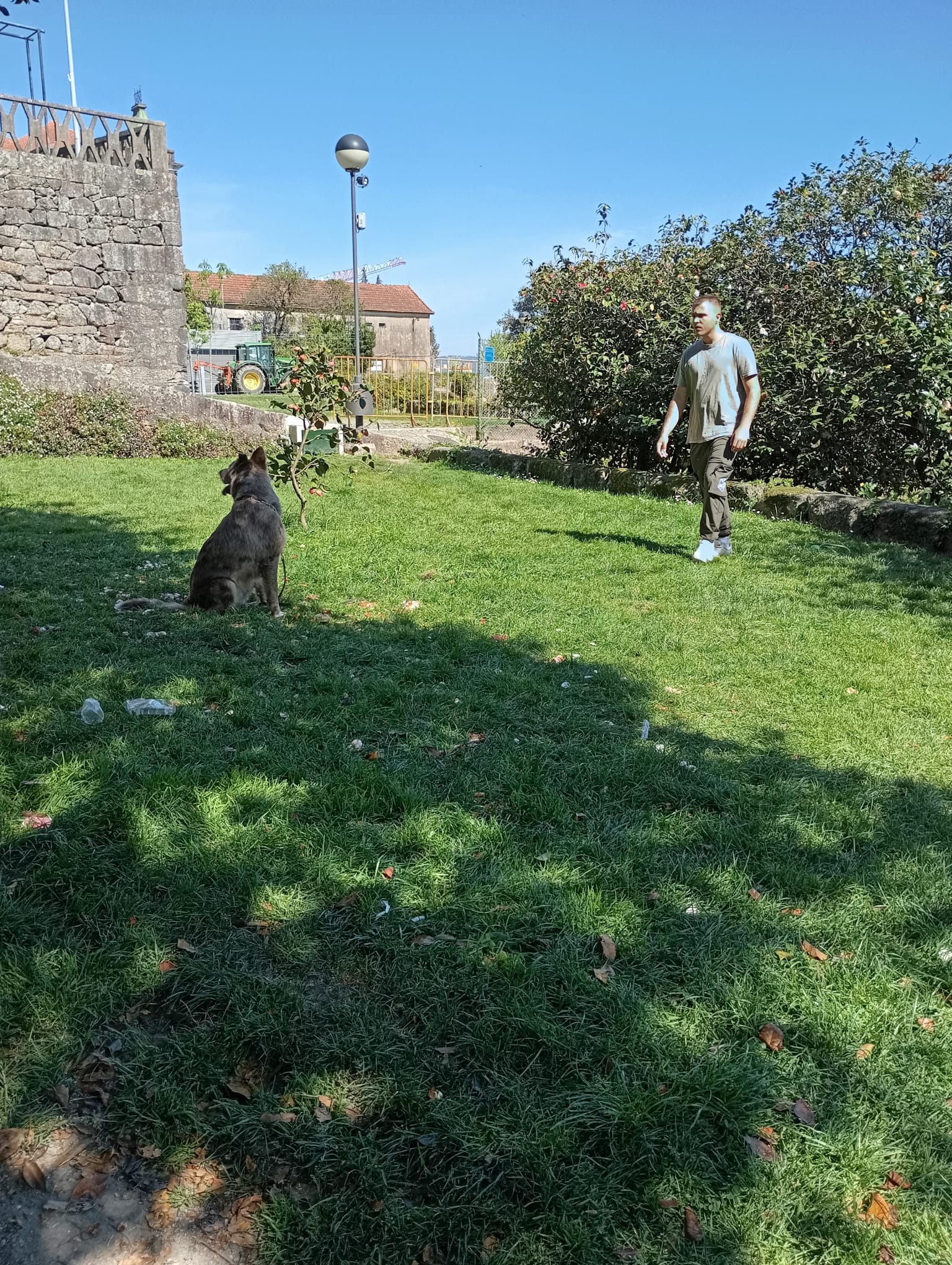 Private Dog Training and Behaviour Consultation gallery 2