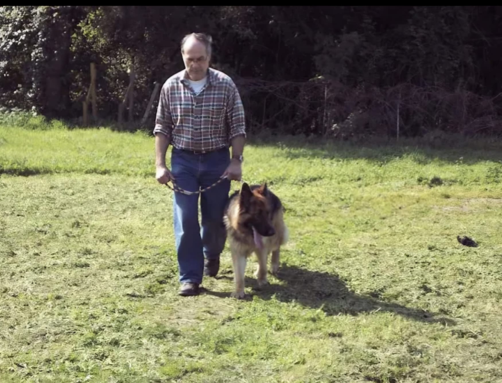 Private Dog Training and Behaviour Consultation gallery 8
