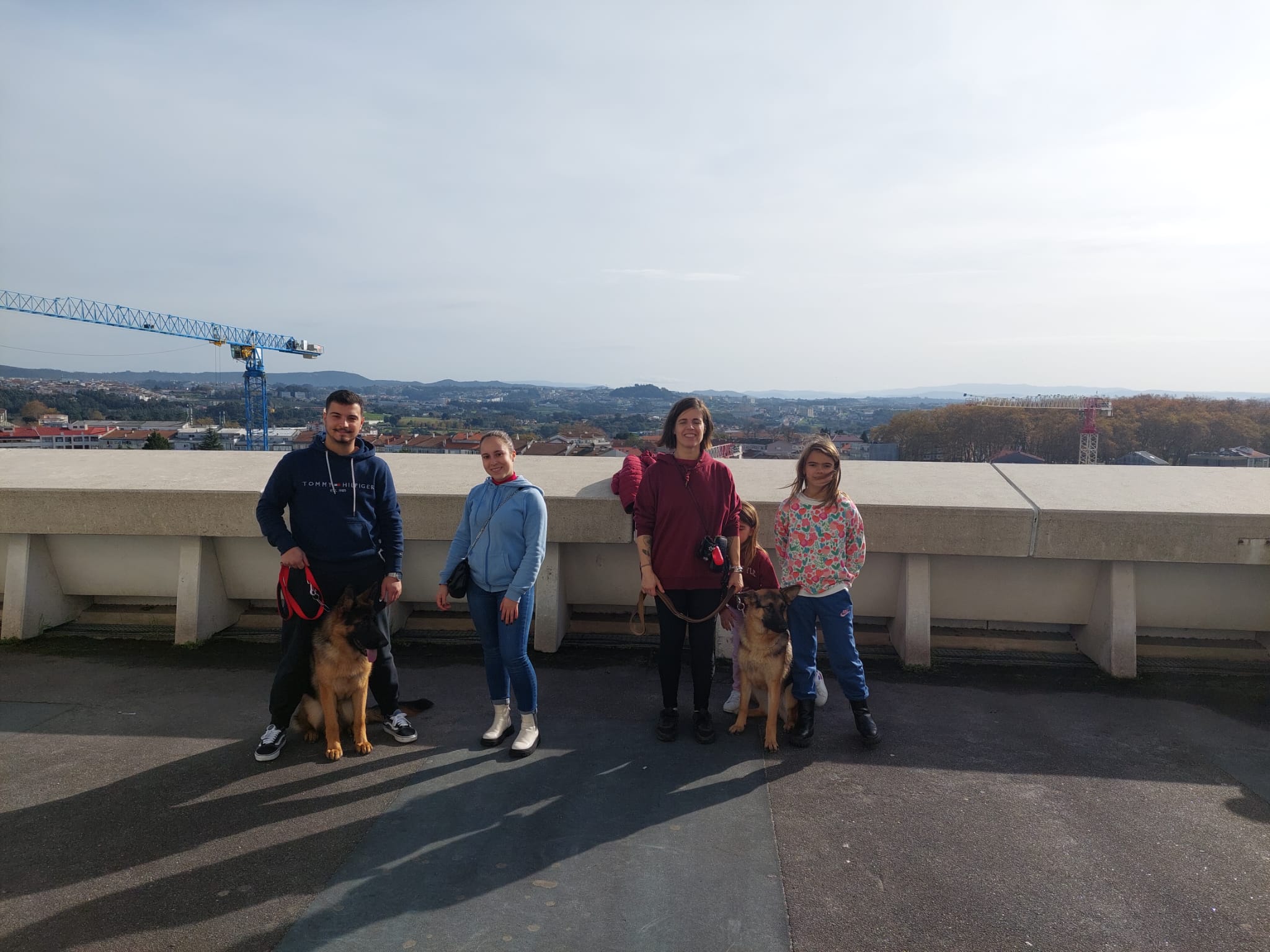 Private Dog Training and Behaviour Consultation gallery 3