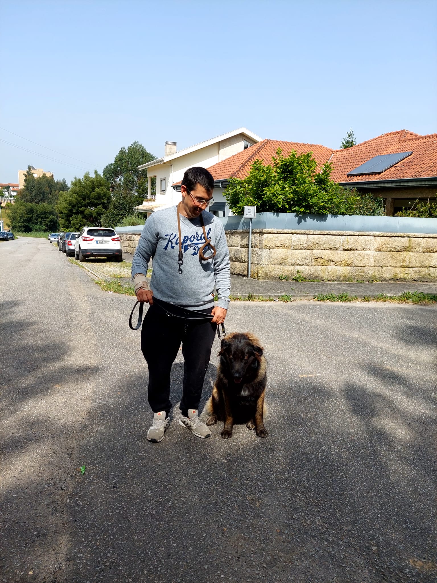 Private Dog Training and Behaviour Consultation gallery 5