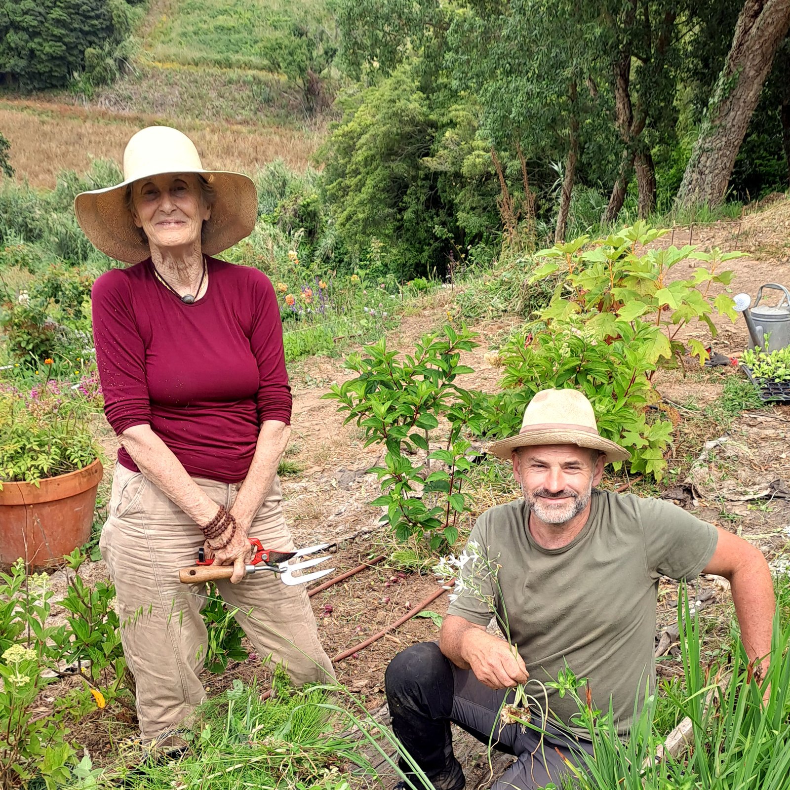 Learn Sustainable Flower Farming in the Sintra Hills - Gardening course