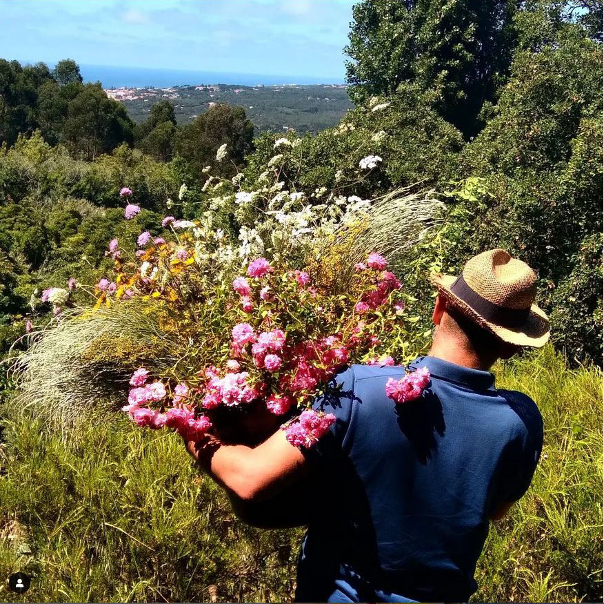 Galeria Sustainable Flower Farming Course 2