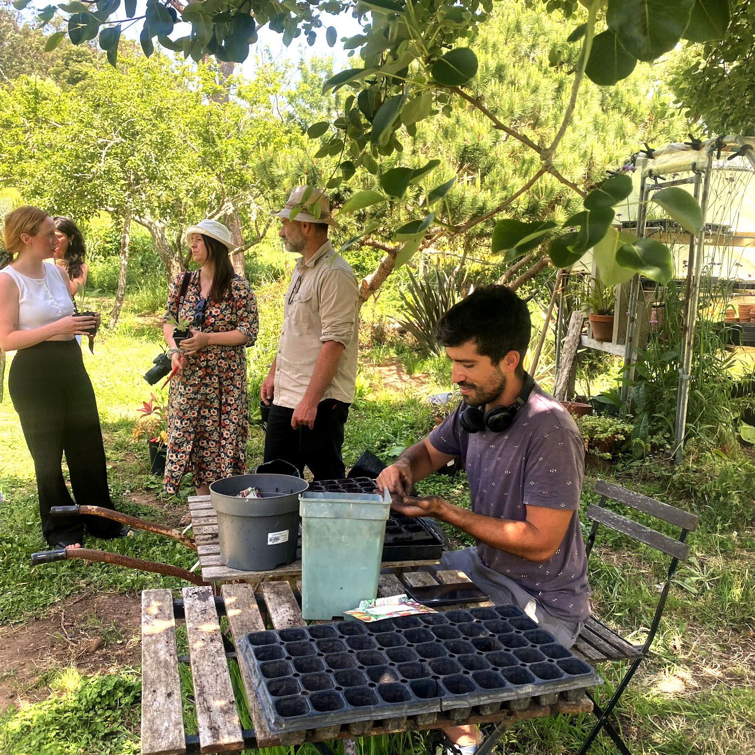 Galeria Sustainable Flower Farming Course 4