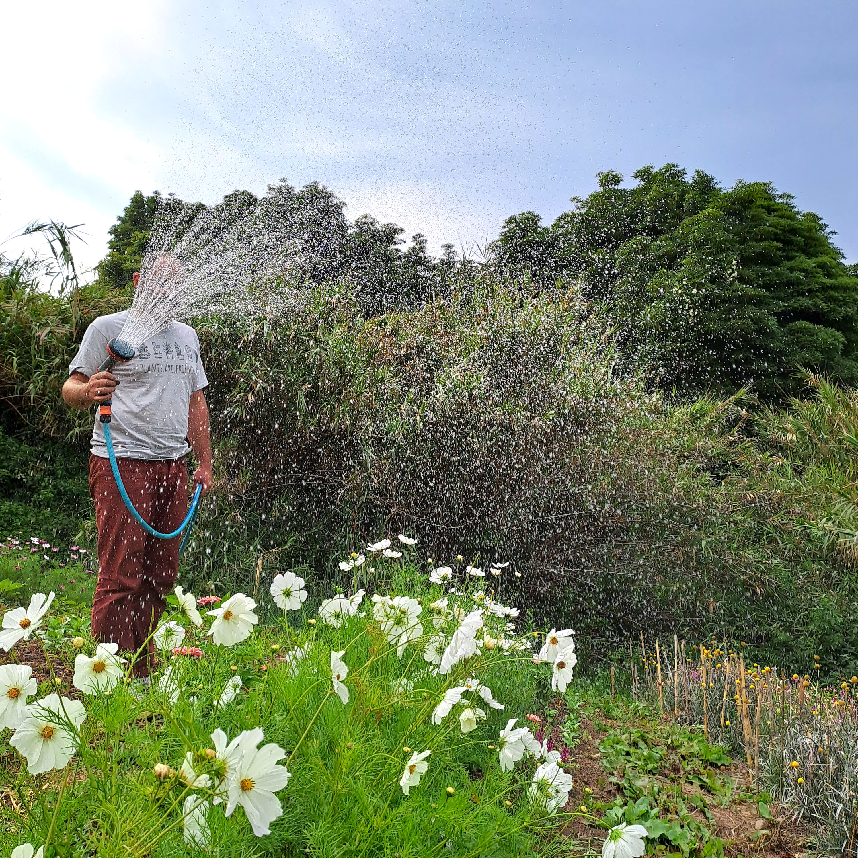 Galeria Sustainable Flower Farming Course 10