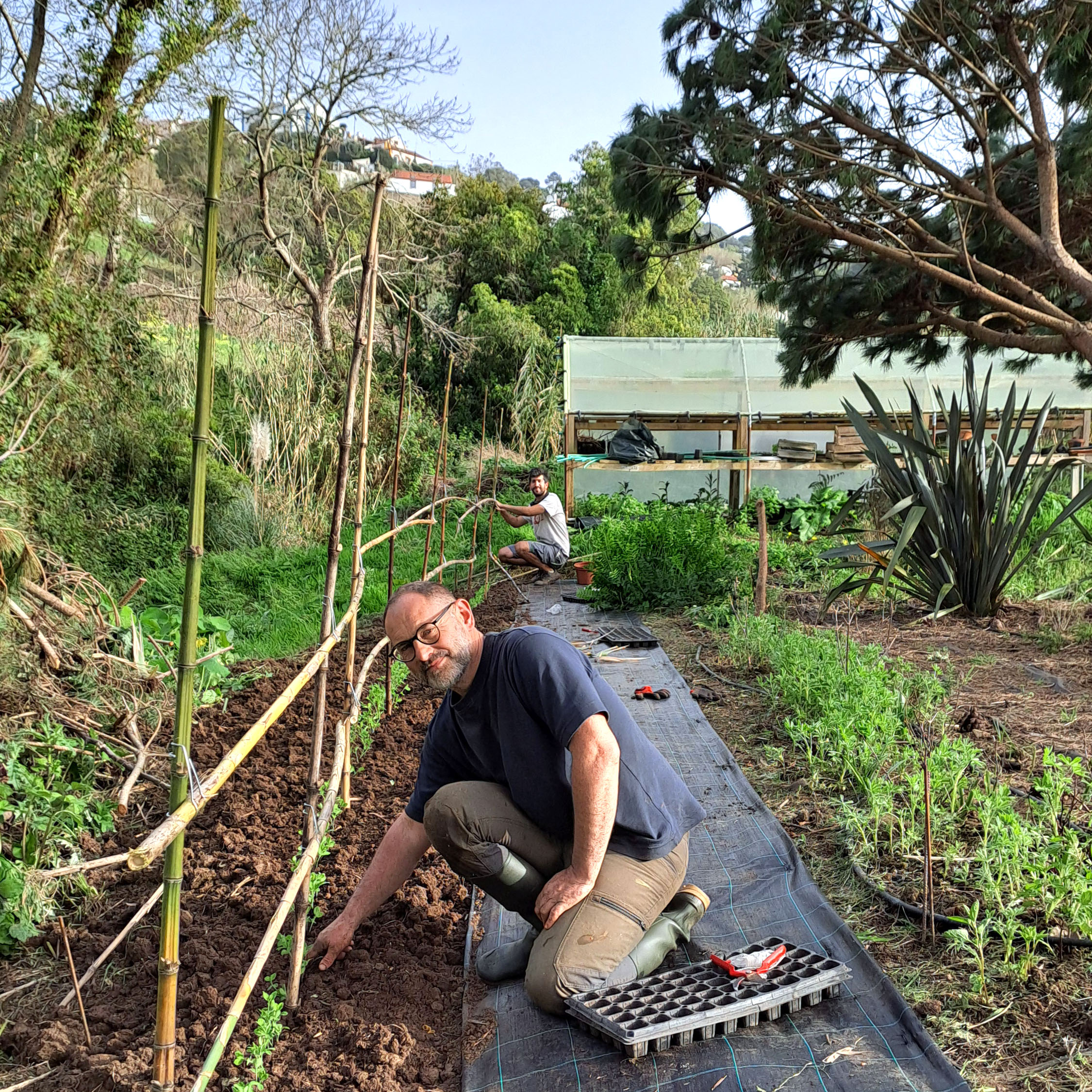 Galeria Sustainable Flower Farming Course 9
