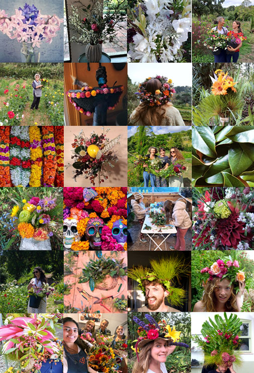 Galeria Create Your Own Bouquet at a Sintra Flower Farm 9