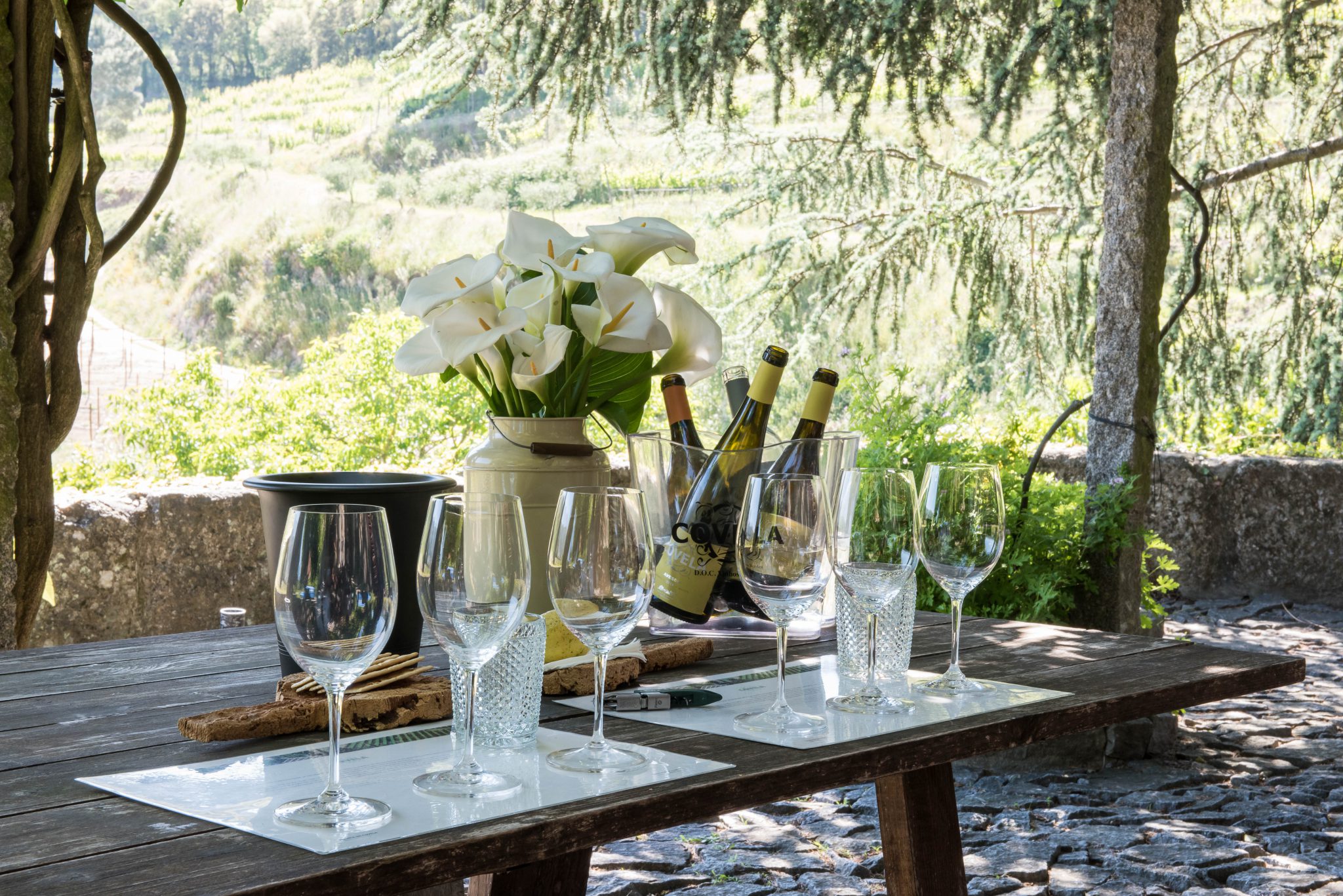 Selection Wine Tasting at Quinta da Covela gallery 2