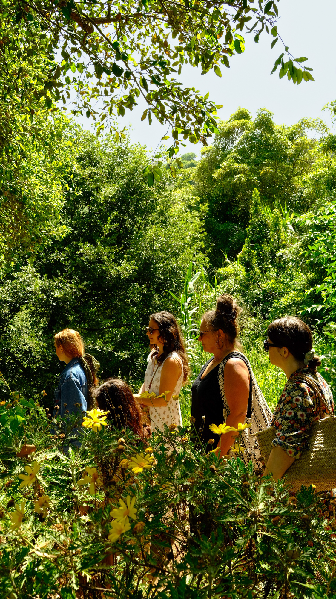 Galeria Floral Farm Guided Tour in Colares 8
