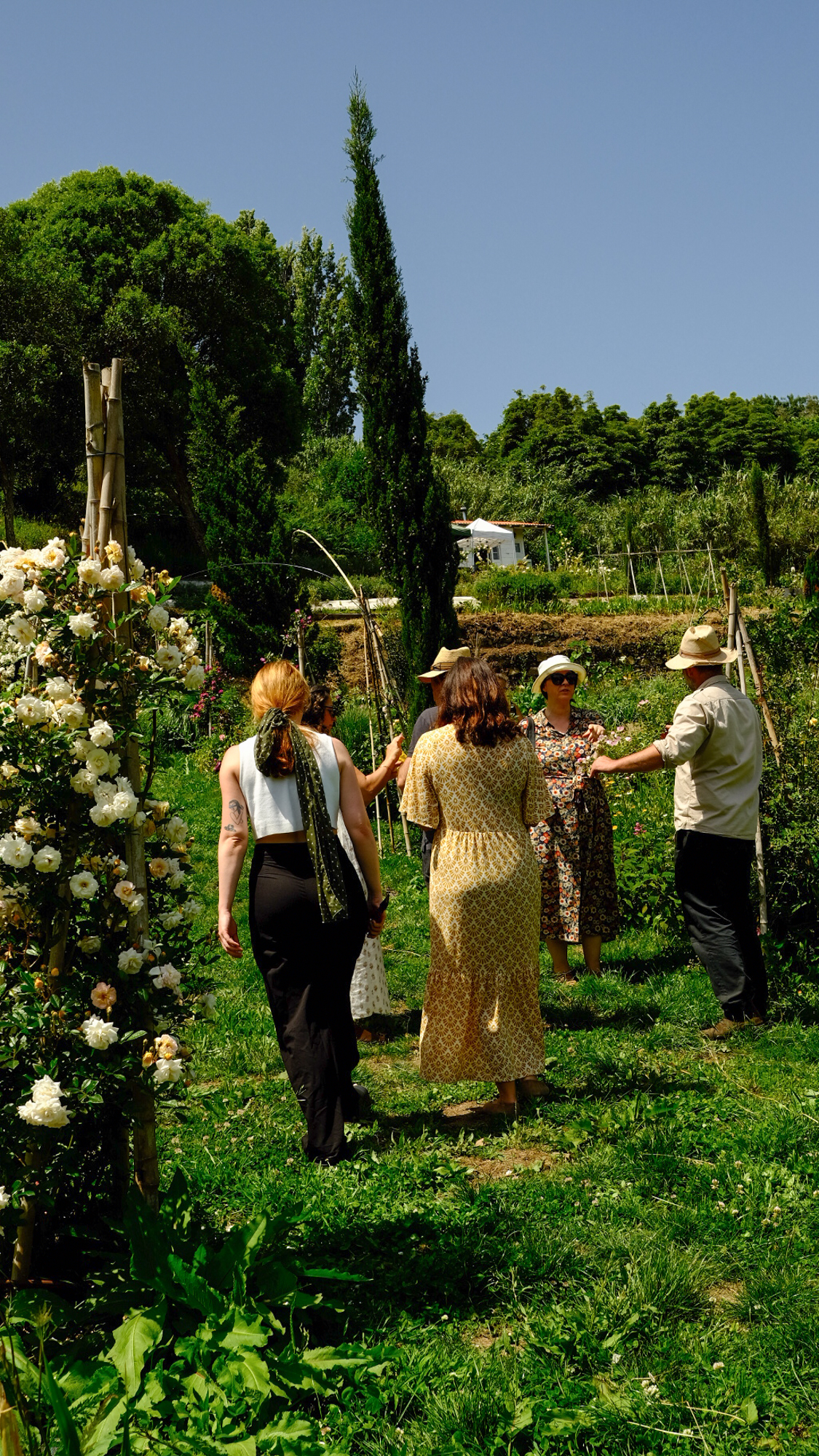 Galeria Floral Farm Guided Tour in Colares 4